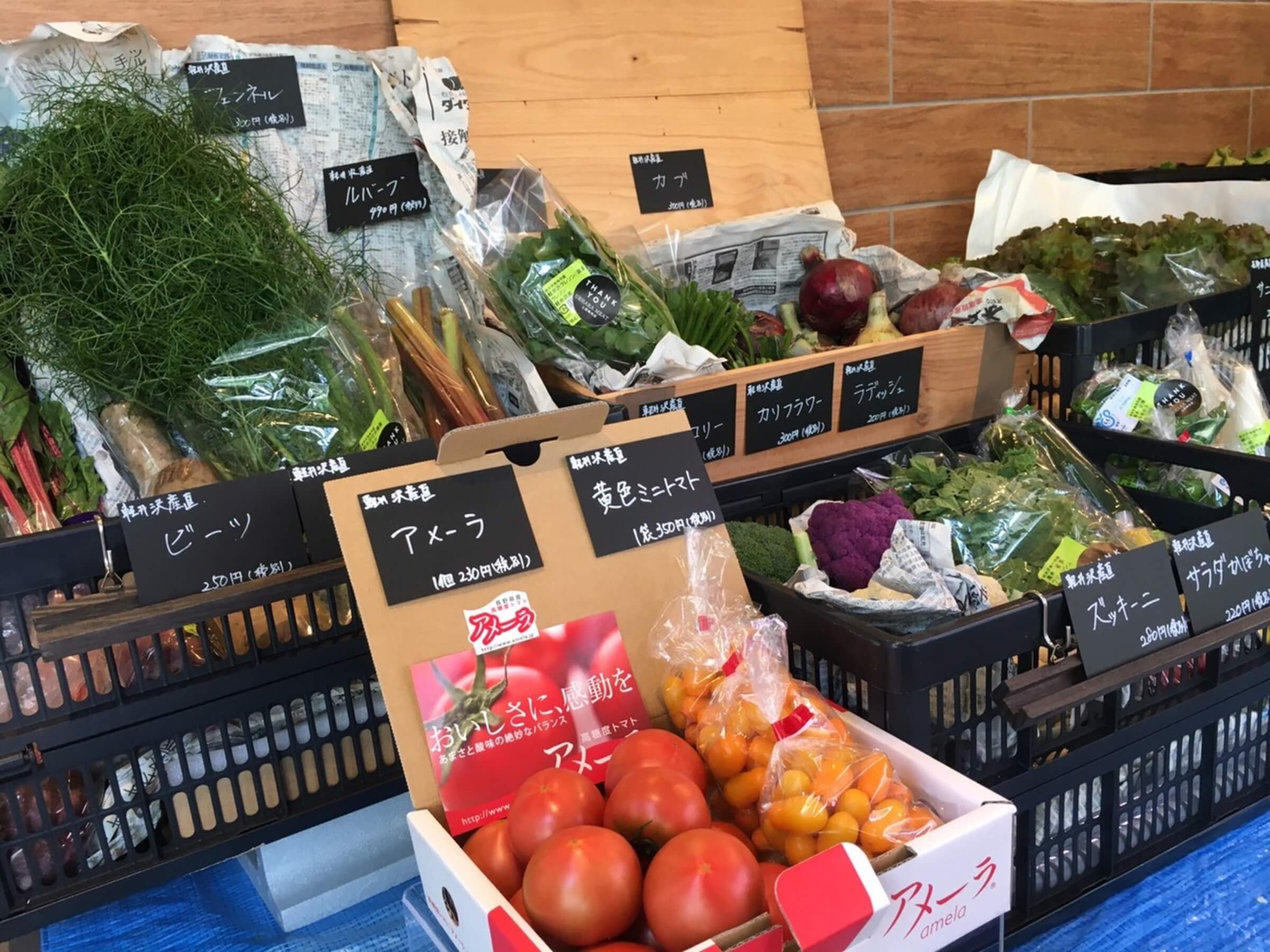 新鮮野菜の商品画像